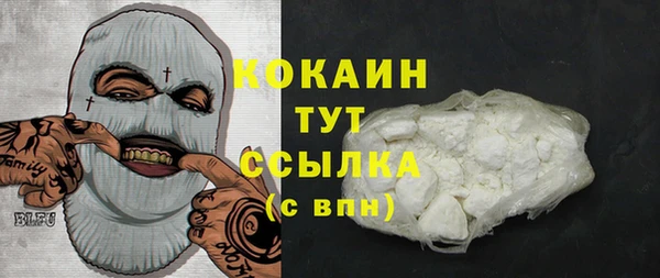 тгк Алзамай