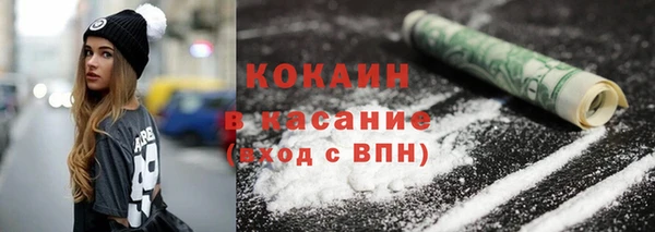 тгк Алзамай