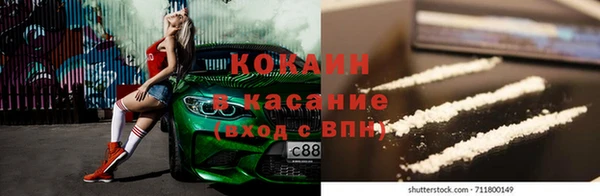 тгк Алзамай