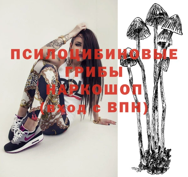 шишки Абинск