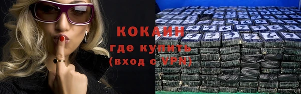 тгк Алзамай