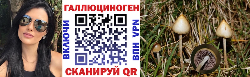 Псилоцибиновые грибы ЛСД  продажа наркотиков  Бобров 